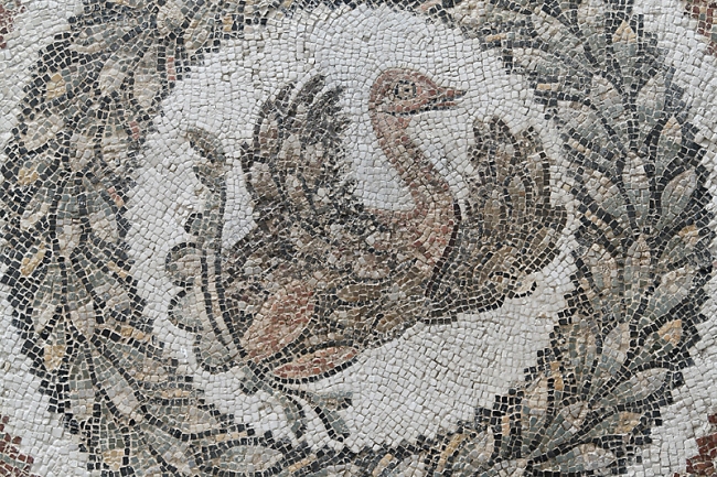 Musée du Bardo-024